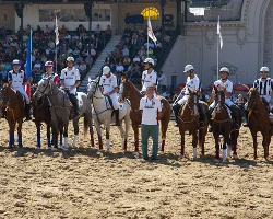 Horseball